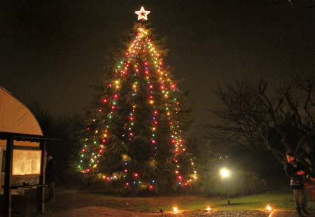 The Christmas tree in Anima Universale monastery at Leini